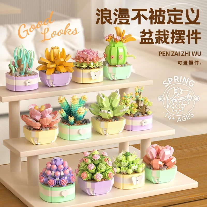 Flower Succulents Building Blocks Cactus Gypsophila Bonsai Tree